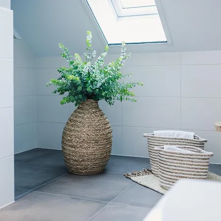 Auszeit ツィングシュト